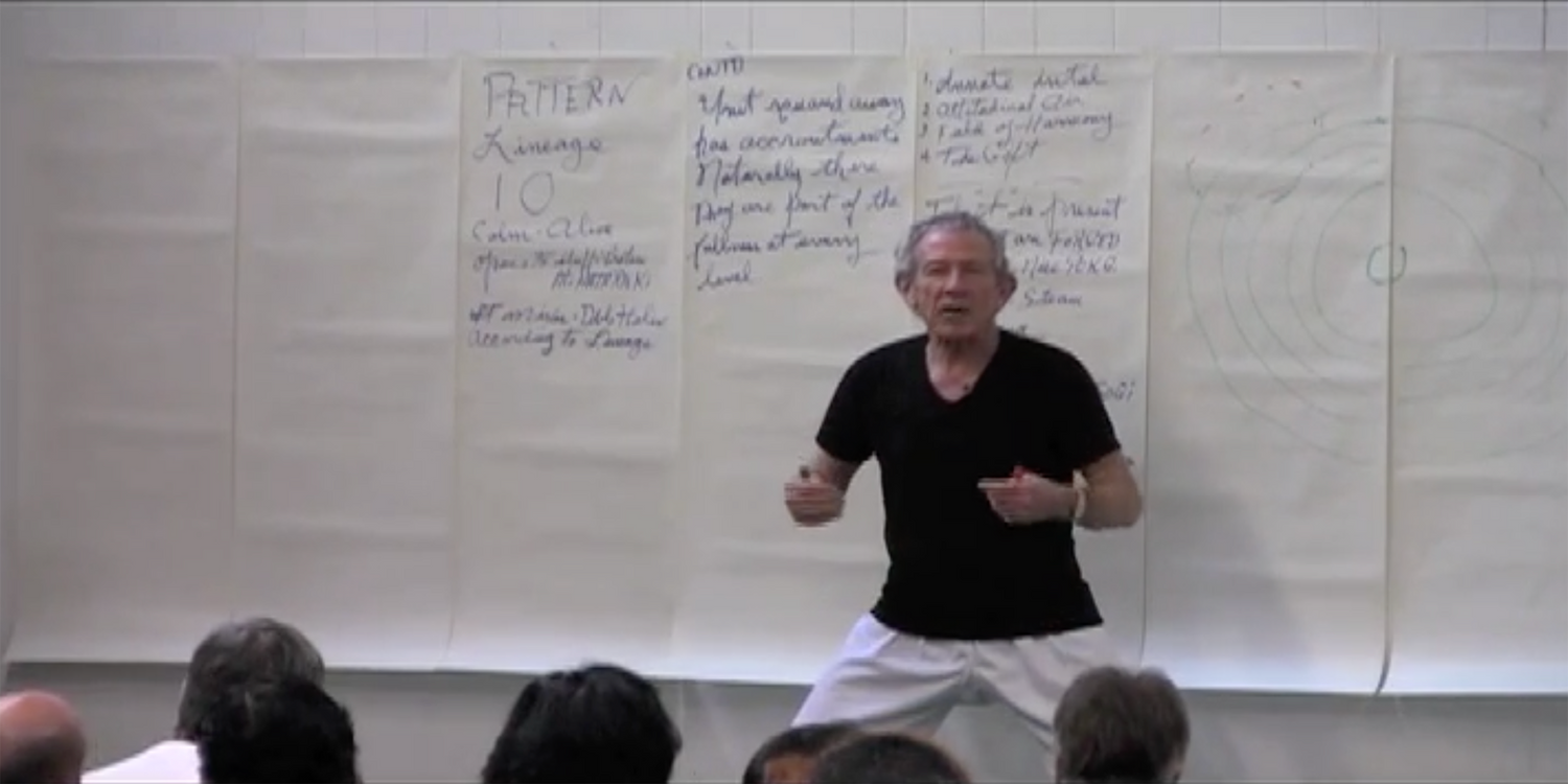 O Sensei's Process DVD by Robert Nadeau (Preowned) - Budovideos Inc