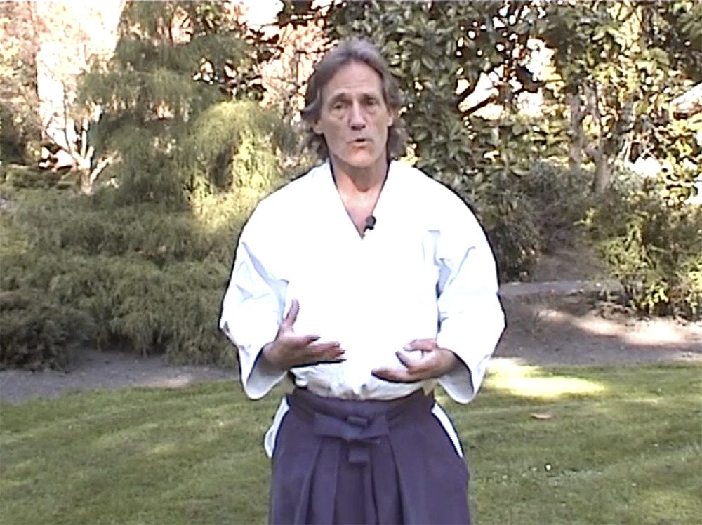 Meditation in Motion: Solo Aikido Practice DVD by Michael Friedl (Preowned) - Budovideos Inc