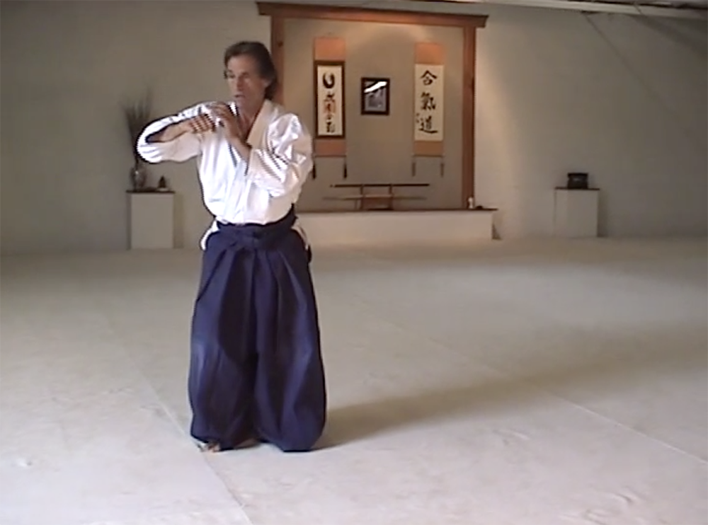 Meditation in Motion: Solo Aikido Practice DVD by Michael Friedl (Preowned) - Budovideos Inc