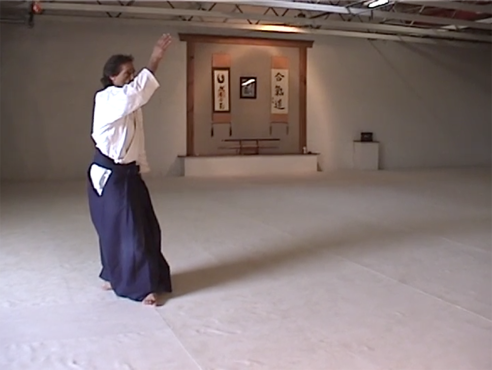 Meditation in Motion: Solo Aikido Practice DVD by Michael Friedl (Preowned) - Budovideos Inc
