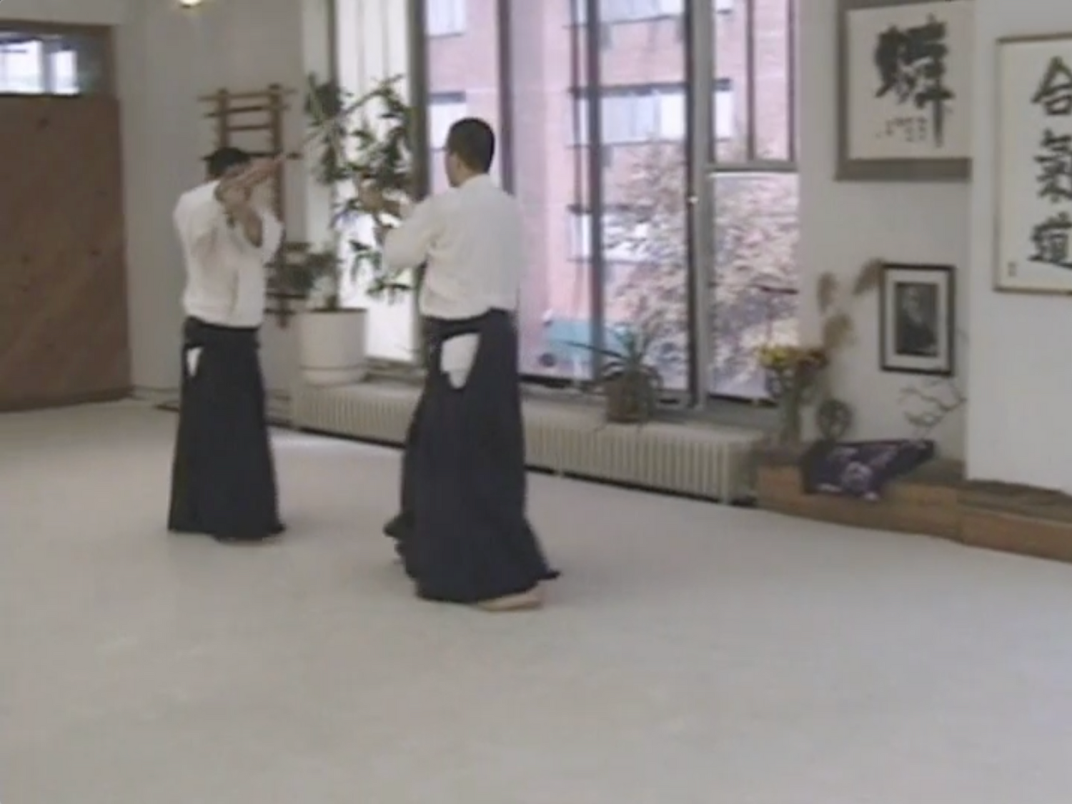 Between Heaven & Earth DVD by Seiichi Sugano (Preowned) - Budovideos Inc