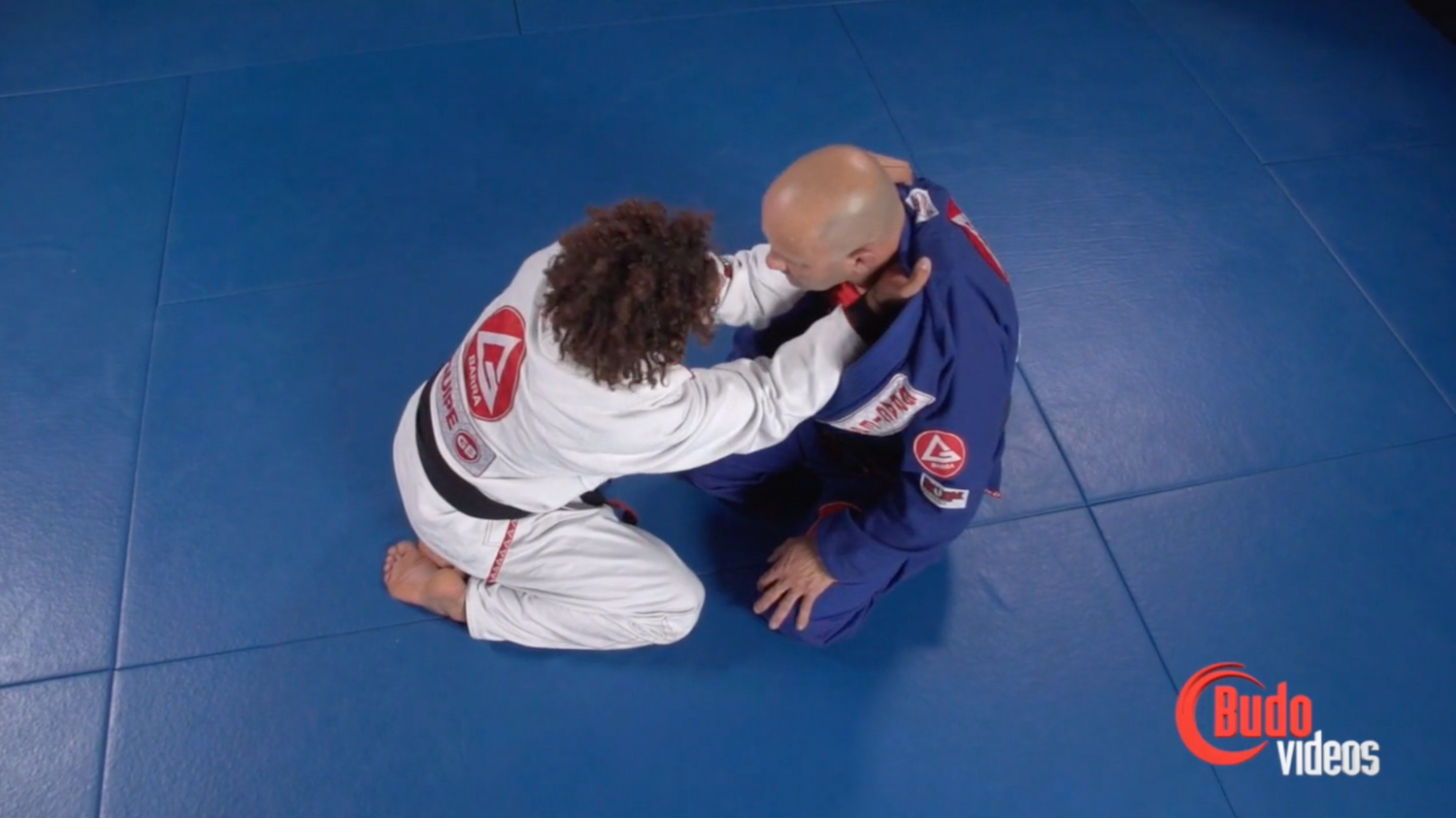 Baseball Choke DVD with Magid Hage - Budovideos Inc