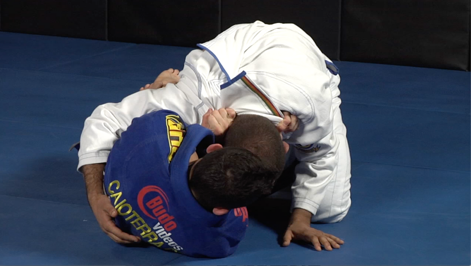 111 Half Guard Techniques 3 DVD Set with Caio Terra - Budovideos Inc