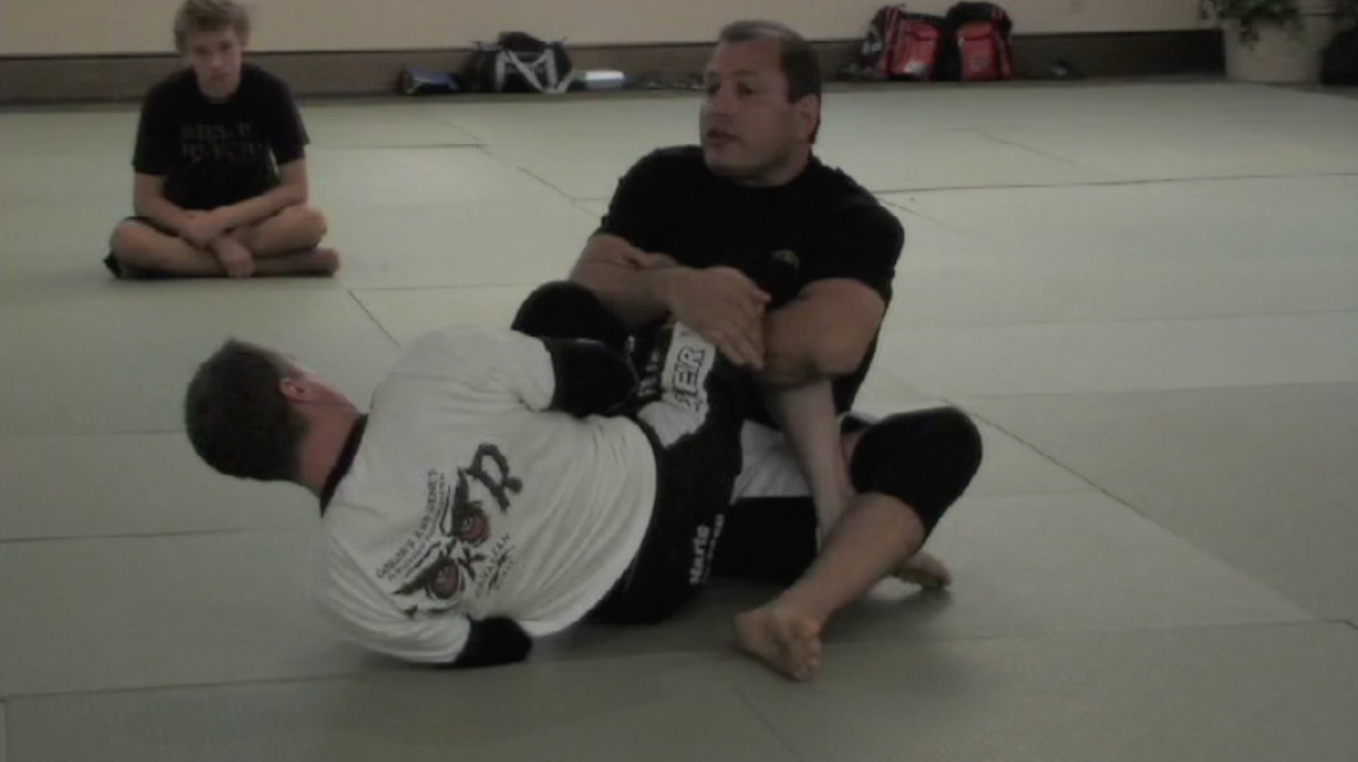 Hayastan Grappling 2 DVD Set by Gokor Chivichyan - Budovideos Inc