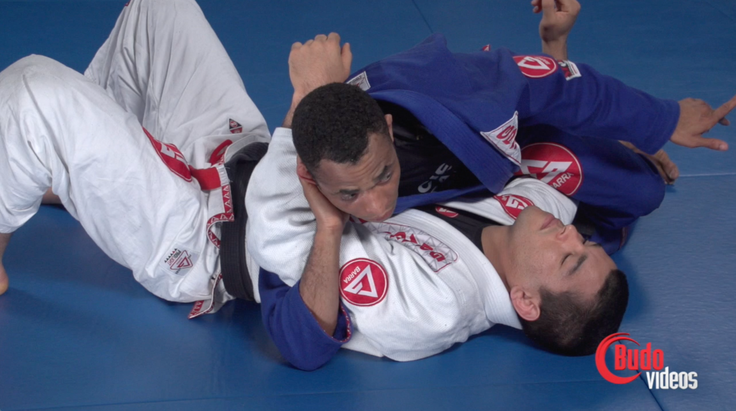 Rafael Freitas Favorite Moves: Side Mount & Mount Attacks DVD - Budovideos Inc