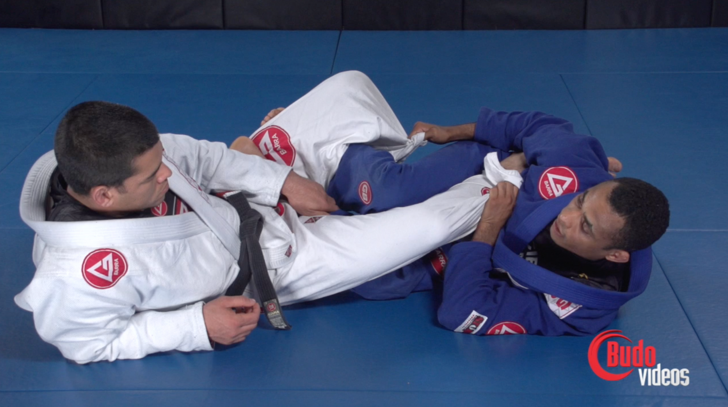 Rafael Freitas Favorite Moves: Double Guard Pull DVD - Budovideos Inc