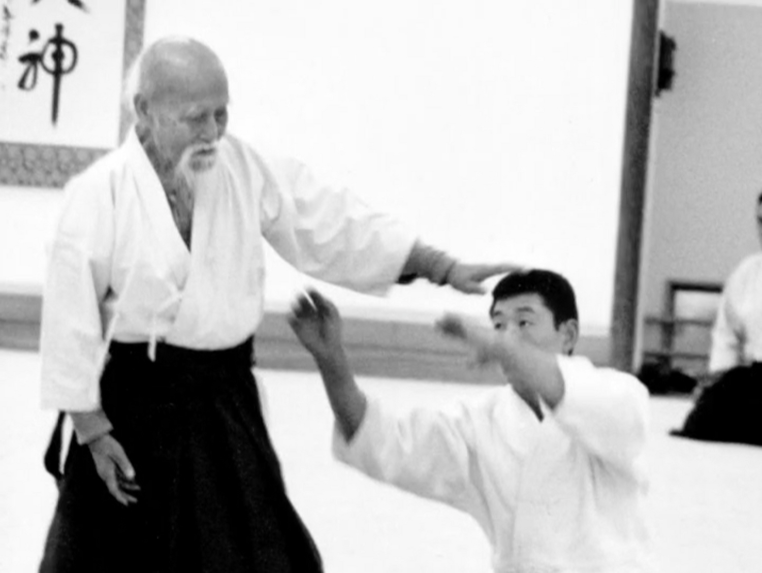 New York Aikikai: Past, Present, & Future DVD - Budovideos Inc