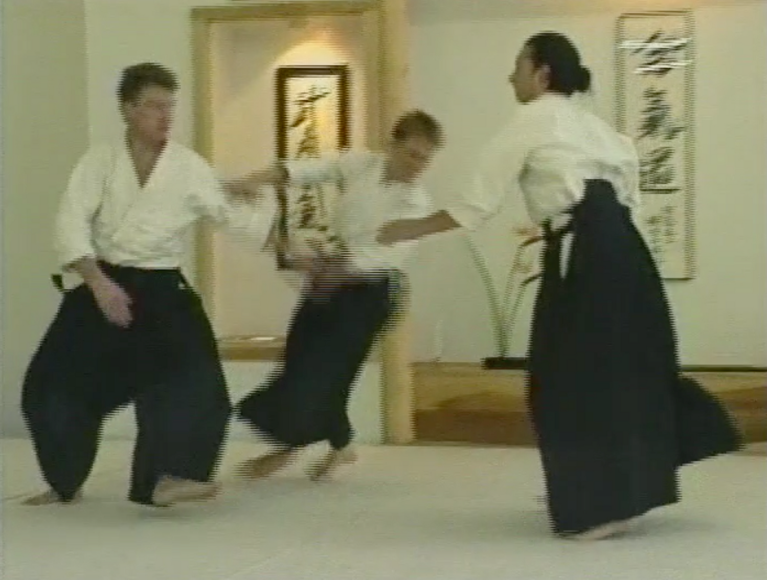 Aikido for Children DVD by Bruce Bookman - Budovideos Inc