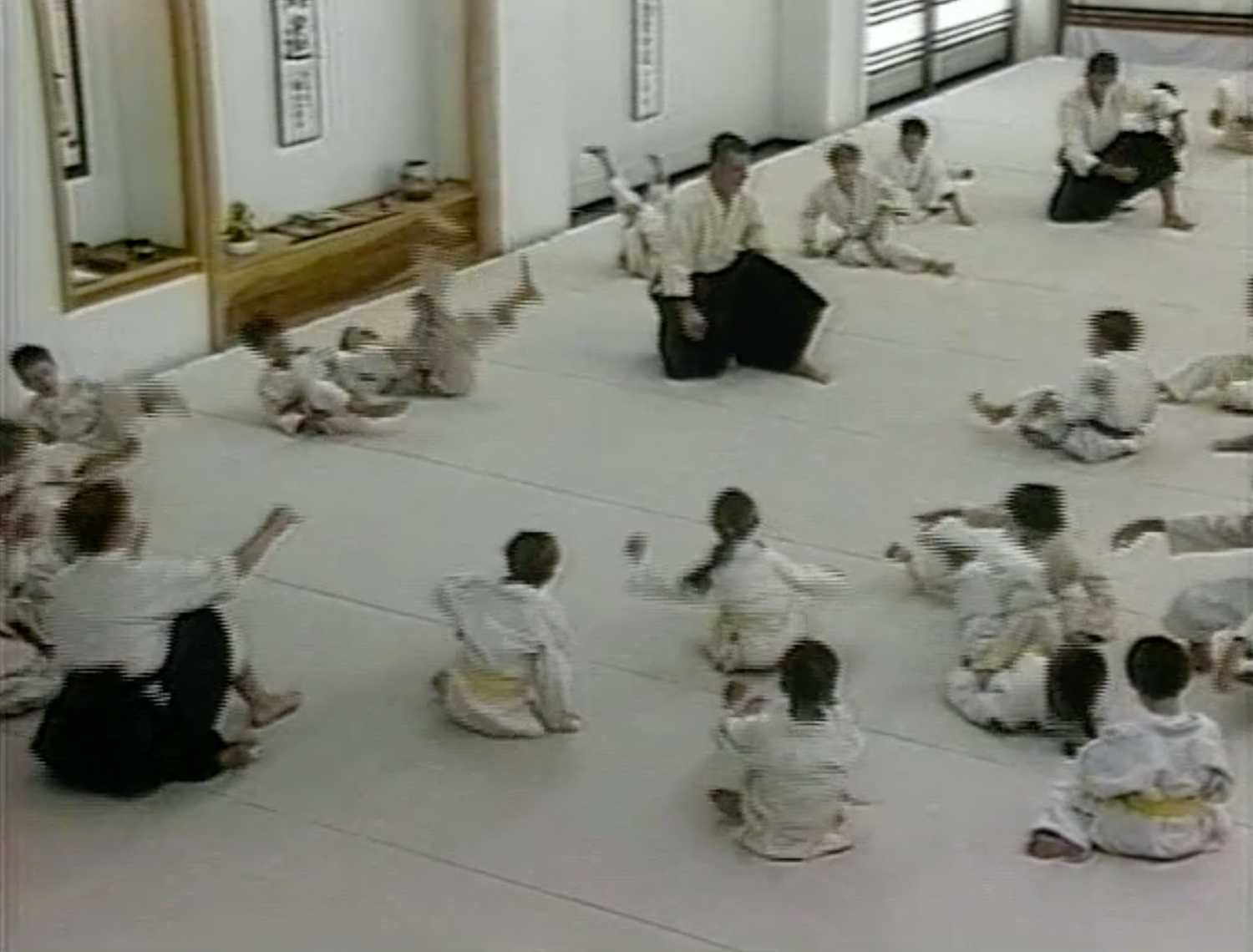 Teaching Aikido to Children DVD by Bruce Bookman - Budovideos Inc