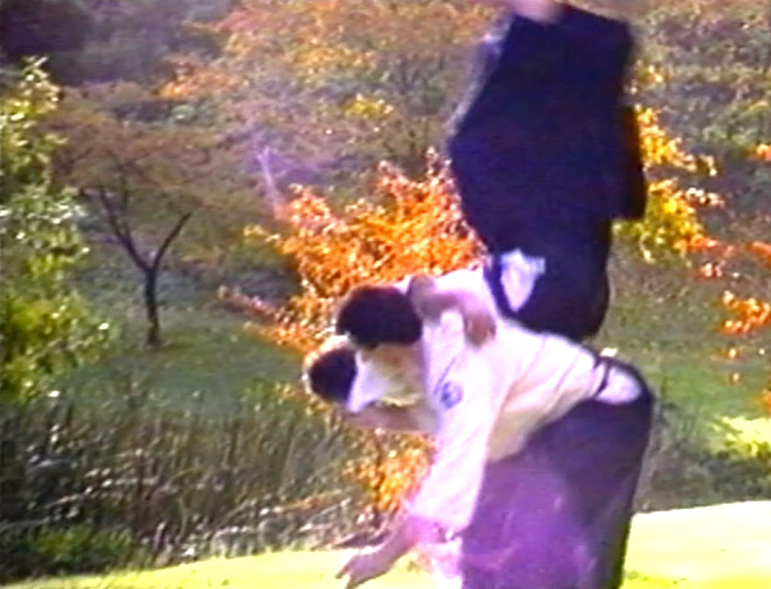 Ukemi - The Art of Falling DVD by Bruce Bookman - Budovideos Inc