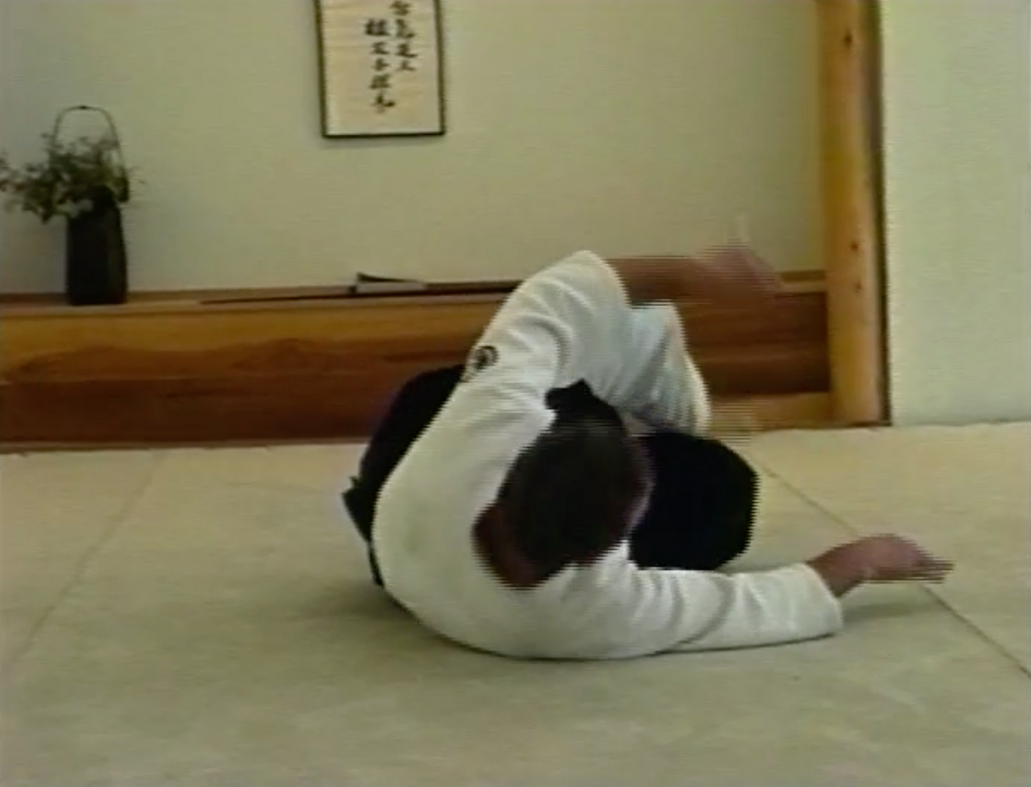 Ukemi - The Art of Falling DVD by Bruce Bookman - Budovideos Inc