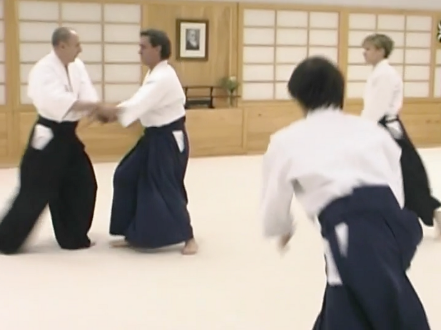 Rhythm of Aikido DVD by Massimo Di Villadorata (Preowned) - Budovideos Inc