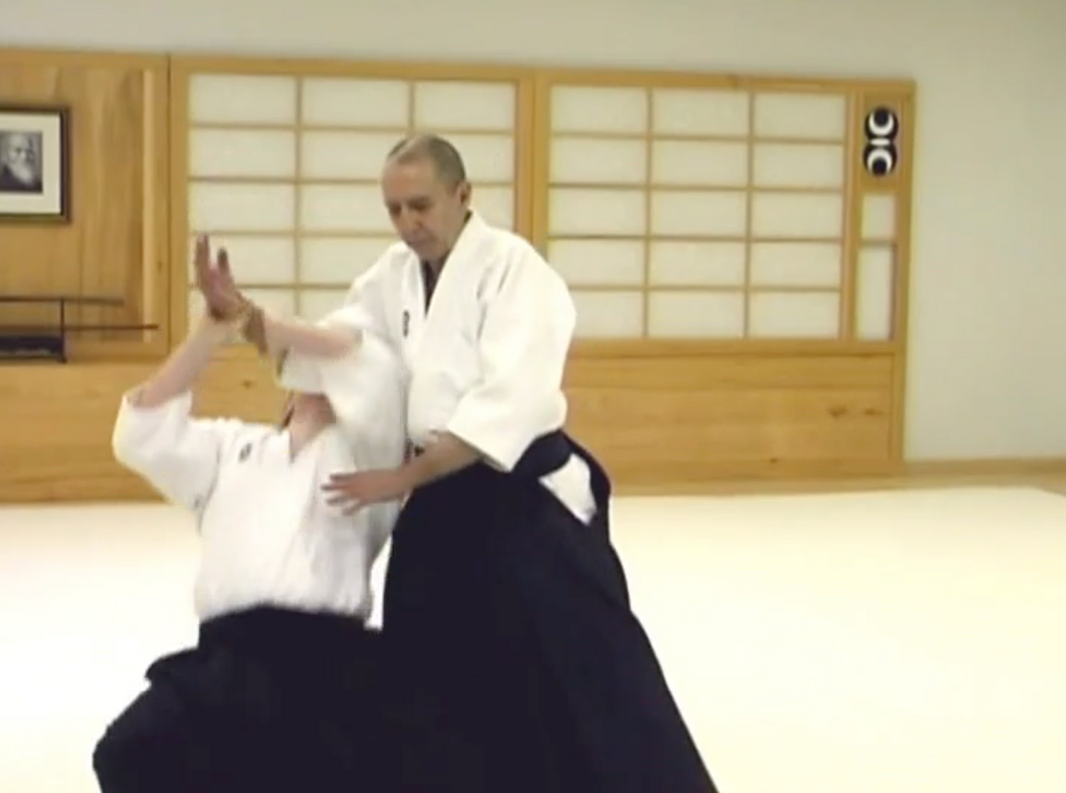 Rhythm of Aikido DVD by Massimo Di Villadorata (Preowned) - Budovideos Inc