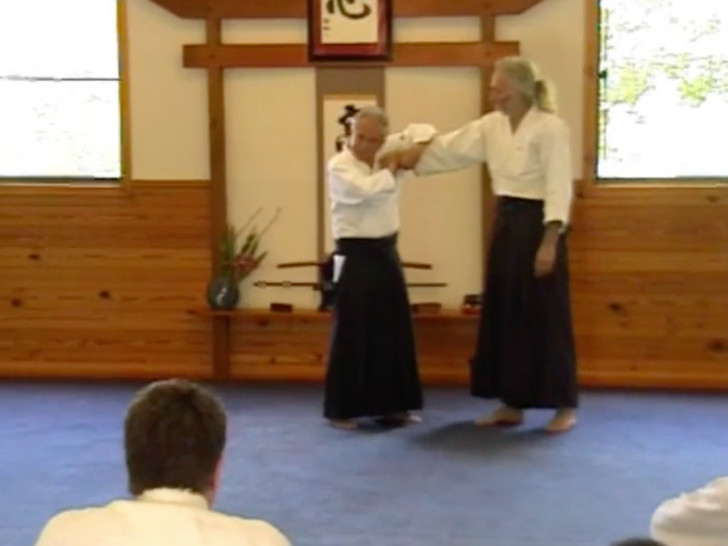 Aikido Yuishinkai 2005 Australia Seminar 2 DVD Set with Koretoshi Maruyama - Budovideos Inc
