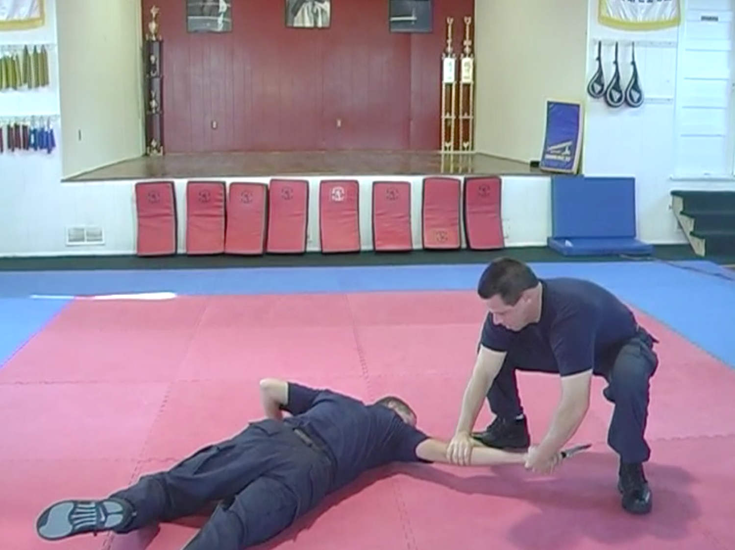 Police Defensive Tactics DVD by Michael Bocco (Preowned) - Budovideos Inc