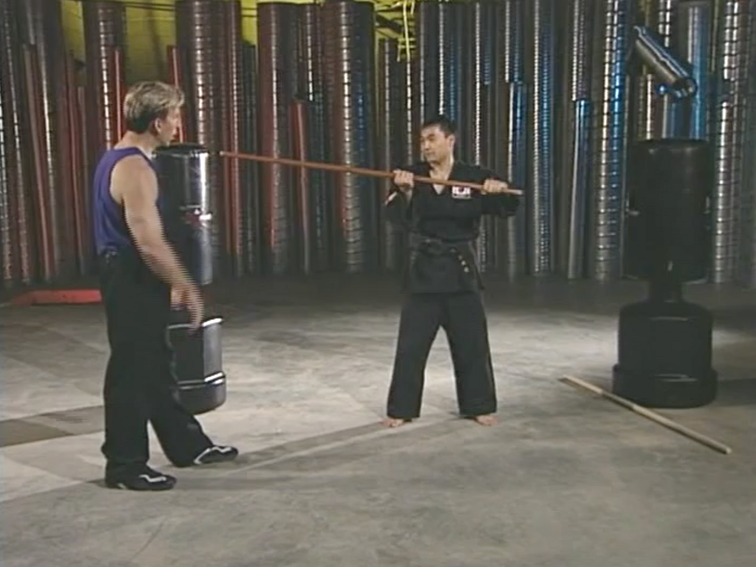 Mastering the Walking Stick DVD by Lenny Magill (Preowned) - Budovideos Inc