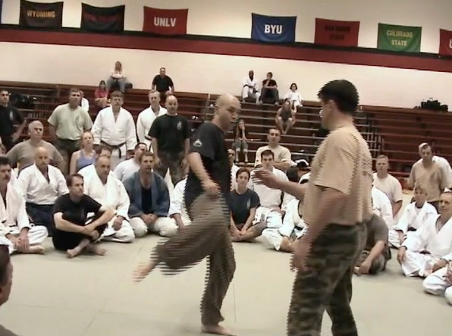 Aiki Expo 2003 Seminars Part 2 DVD (Preowned) - Budovideos Inc