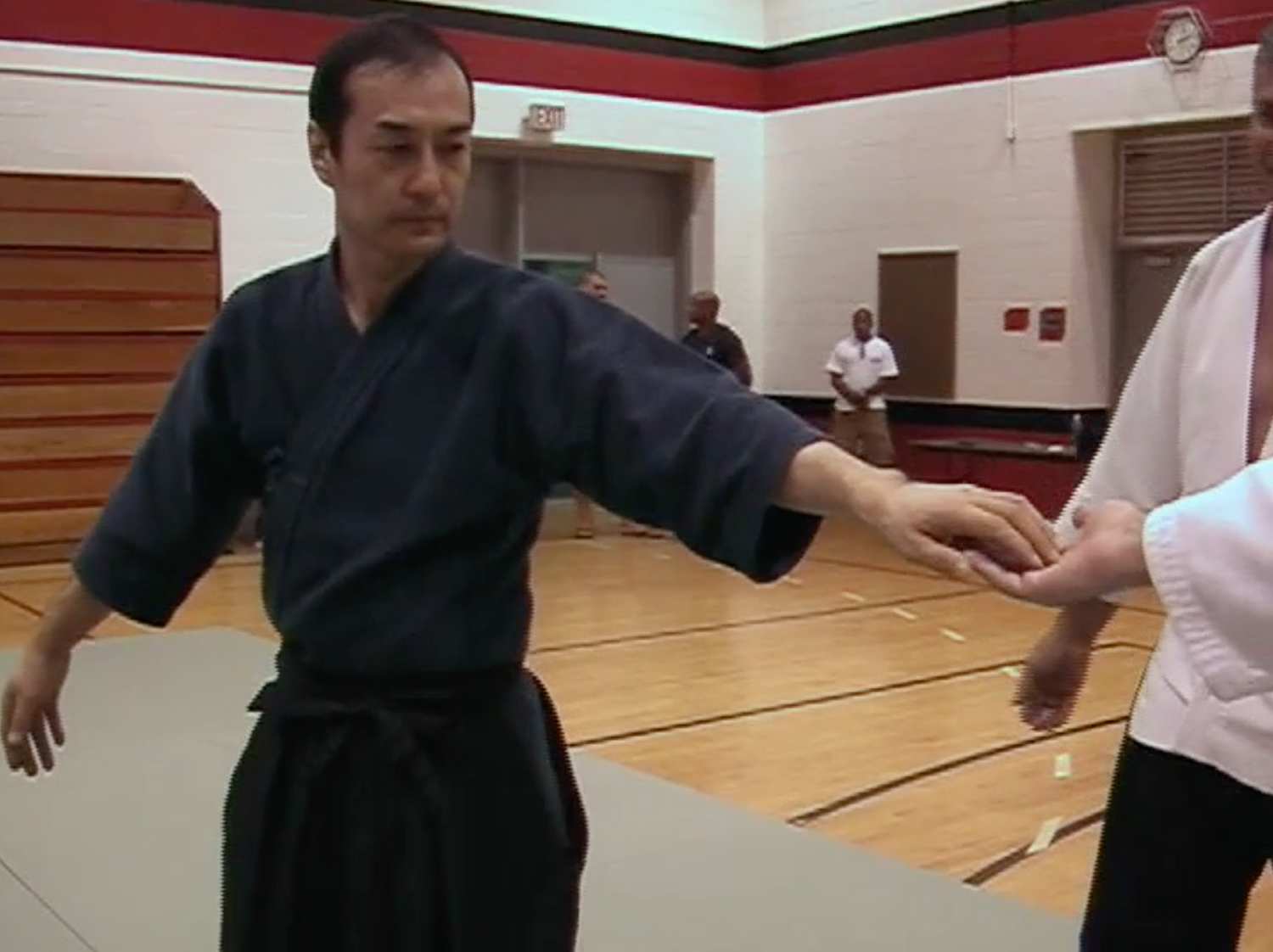 Aiki Expo 2003 Seminars Part 2 DVD (Preowned) - Budovideos Inc