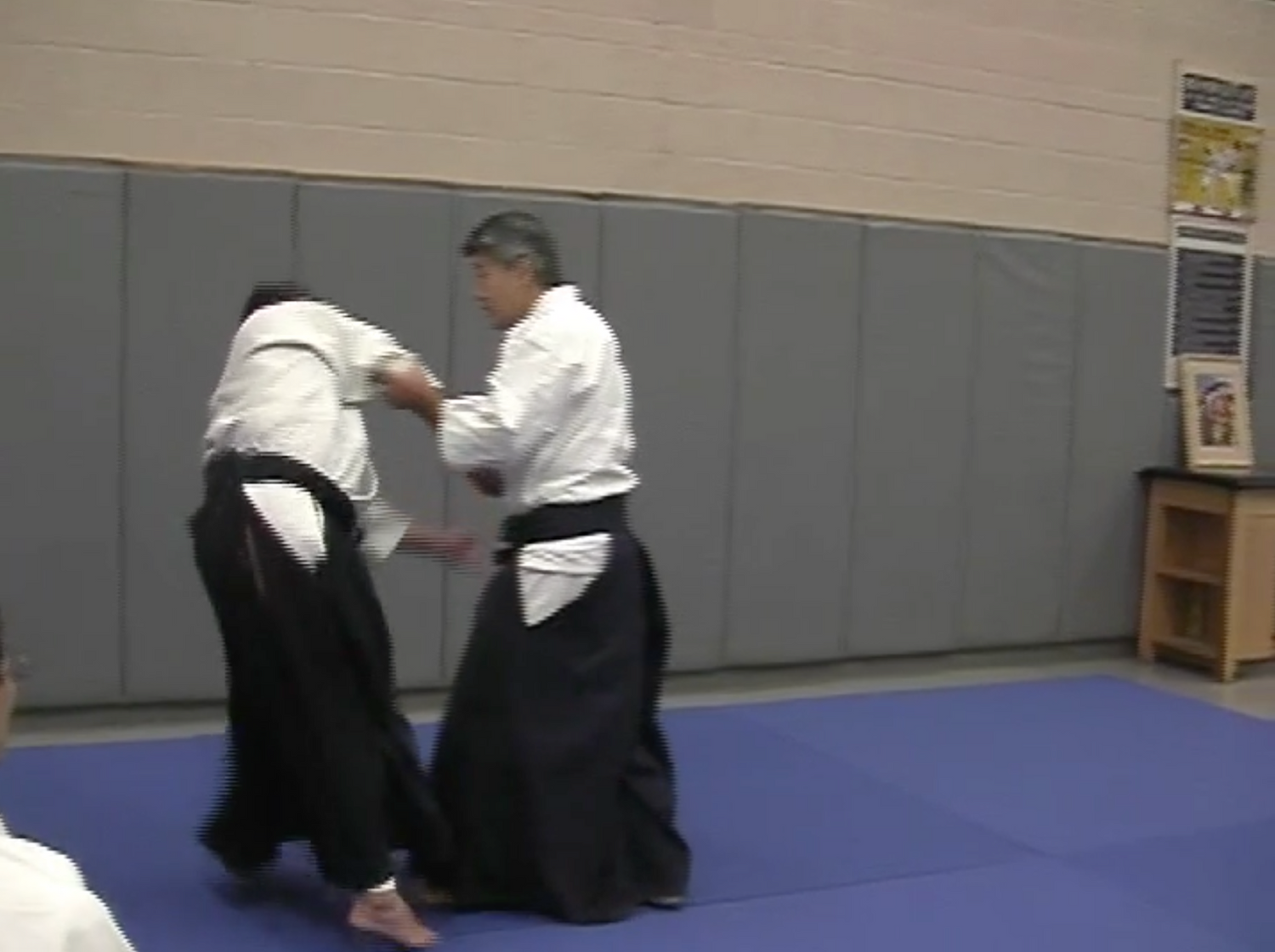 Aiki Expo 2003 Seminars Part 2 DVD (Preowned) - Budovideos Inc