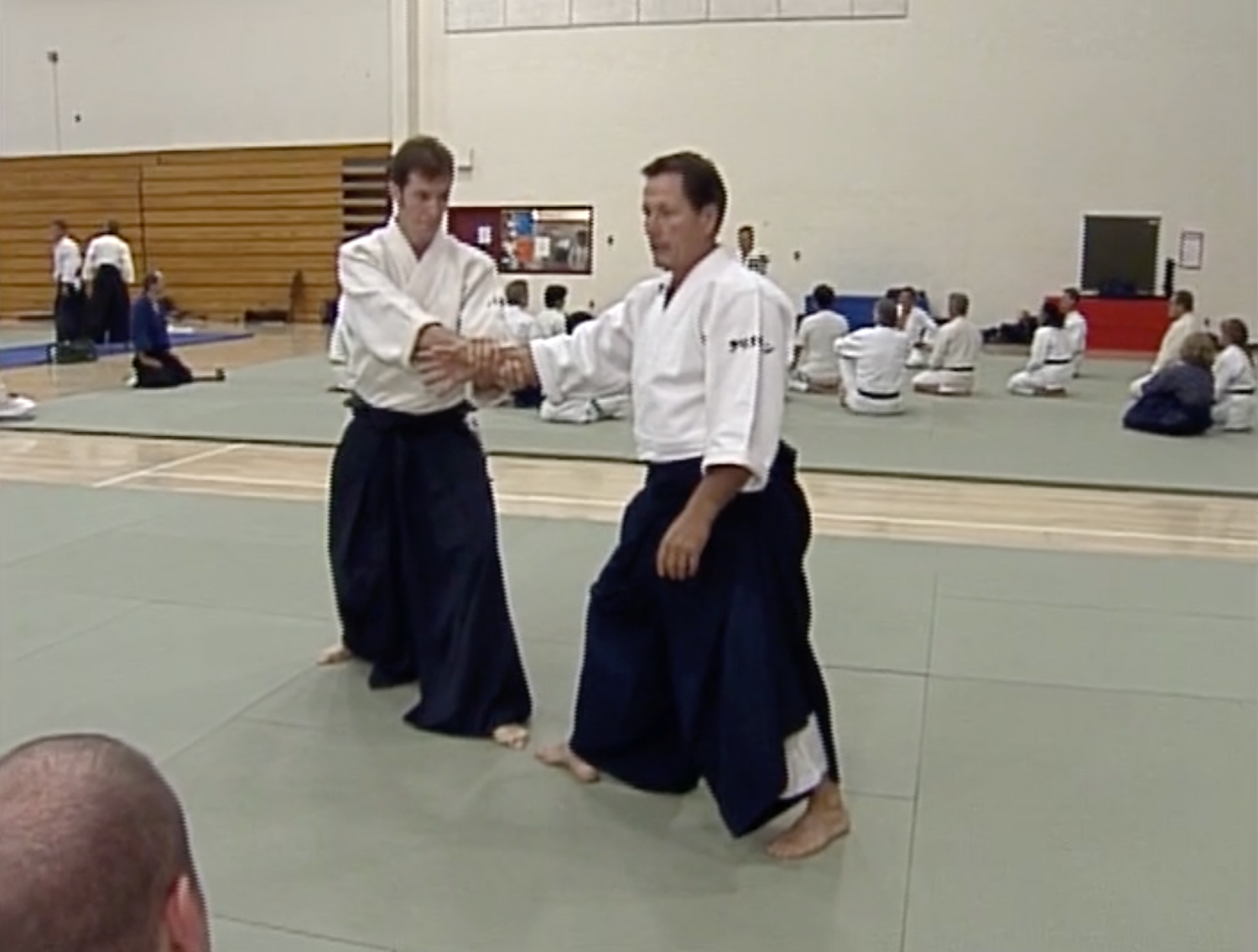 Aiki Expo 2005 Seminars Part 1 DVD (Preowned) - Budovideos Inc