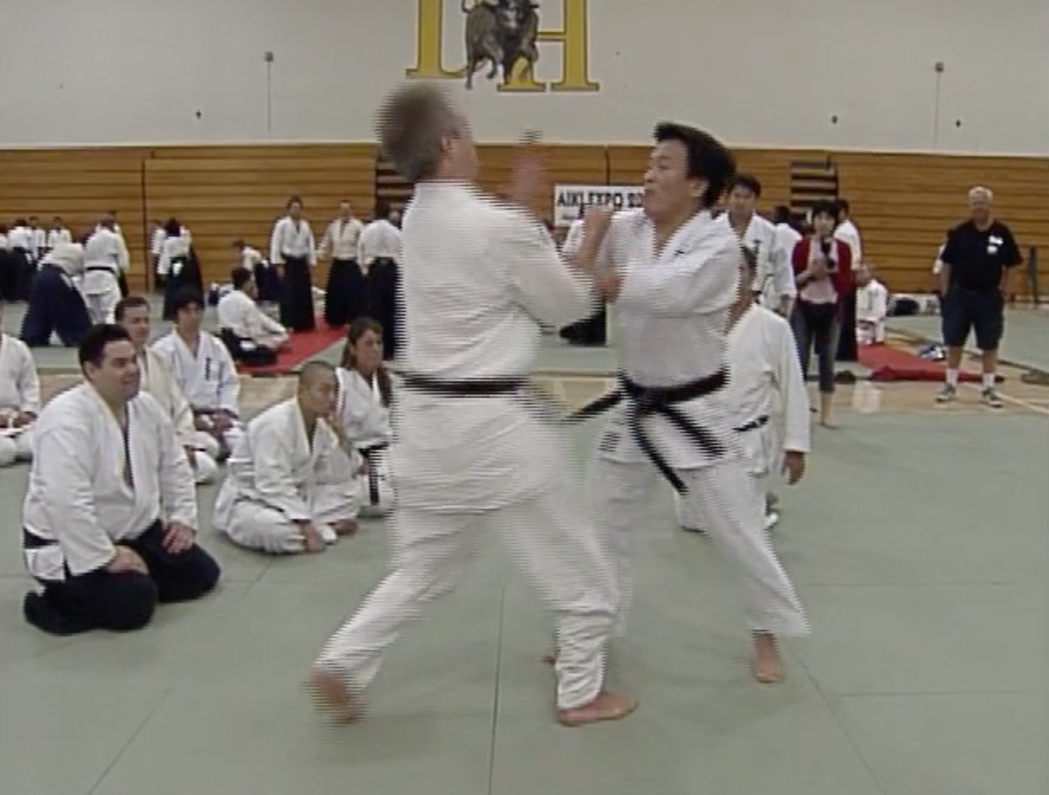 Aiki Expo 2005 Seminars Part 1 DVD (Preowned) - Budovideos Inc