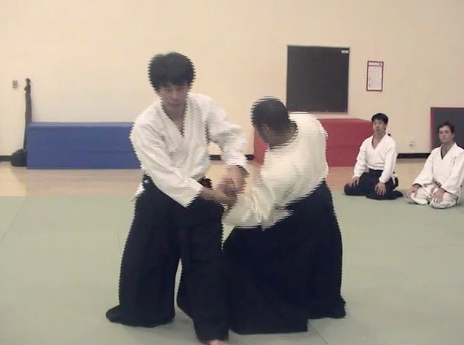 Aiki Expo 2005 Seminars Part 2 DVD (Preowned) - Budovideos Inc