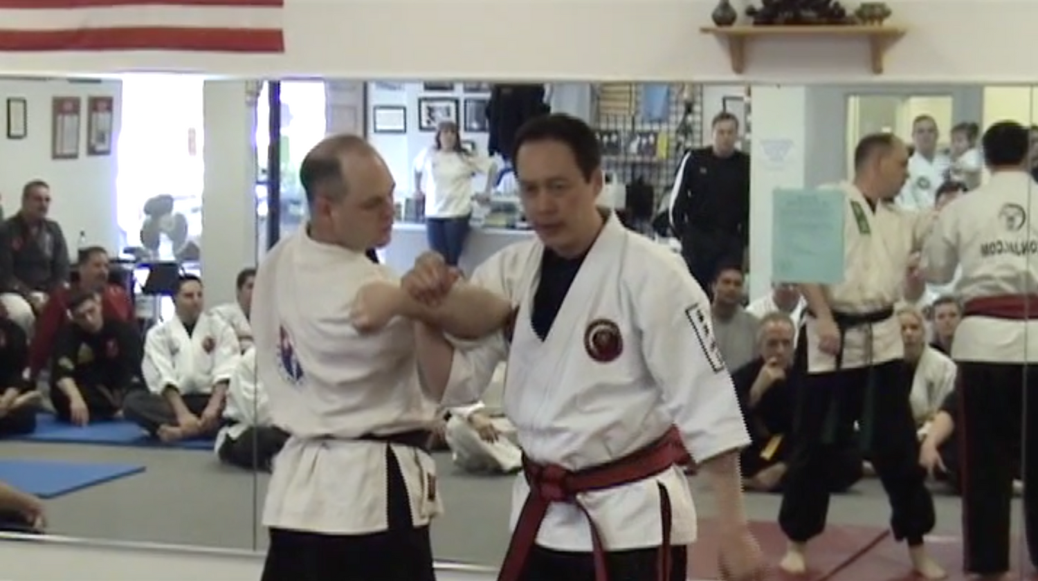 Small Circle Jujitsu Seminar Series 1 DVD by Leon Jay - Budovideos Inc