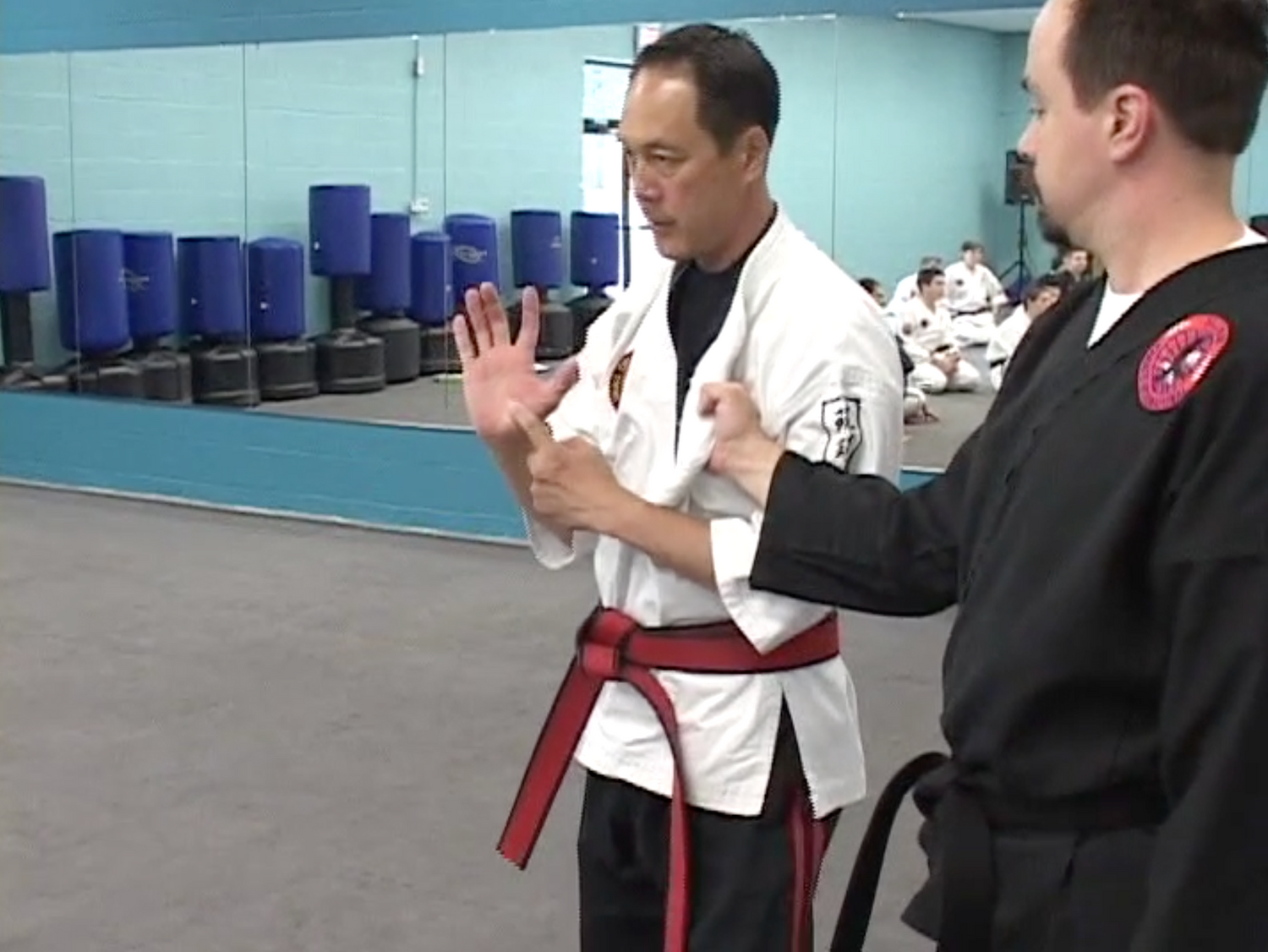 Small Circle Jujitsu Seminar Series 2 DVD by Leon Jay - Budovideos Inc