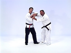 Advanced Small Circle Jujitsu: Fulcrum Activation DVD by Wally & Leon Jay - Budovideos Inc
