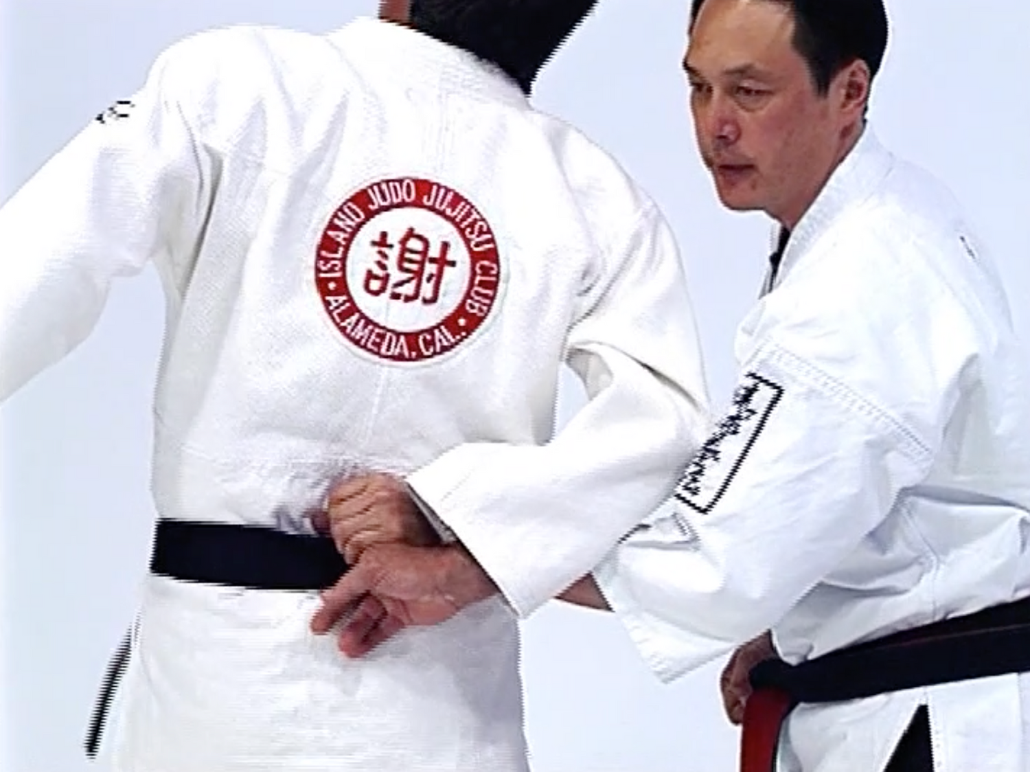 Advanced Small Circle Jujitsu: Fulcrum Activation DVD by Wally & Leon Jay - Budovideos Inc