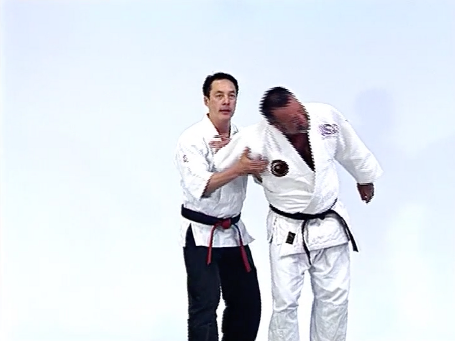 Advanced Small Circle Jujitsu: Fulcrum Activation DVD by Wally & Leon Jay - Budovideos Inc