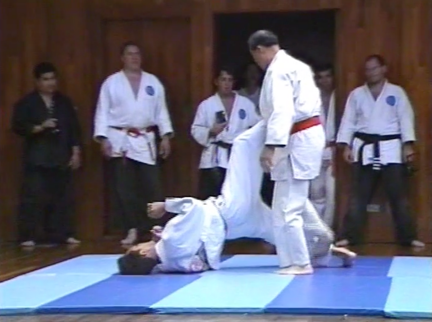Advanced Small Circle Jujitsu: Fulcrum Activation DVD by Wally & Leon Jay - Budovideos Inc