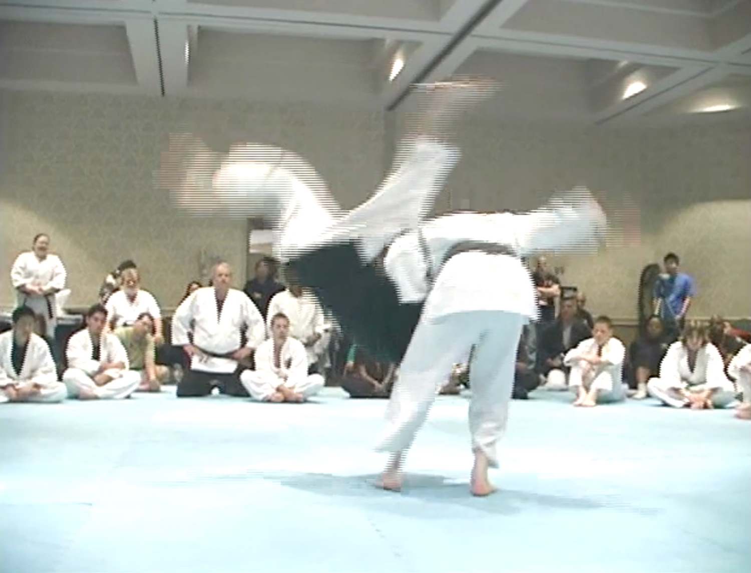 Small Circle Jujitsu Professor Wally Jay's 90th Birthday Tribute 2 DVD Set - Budovideos Inc