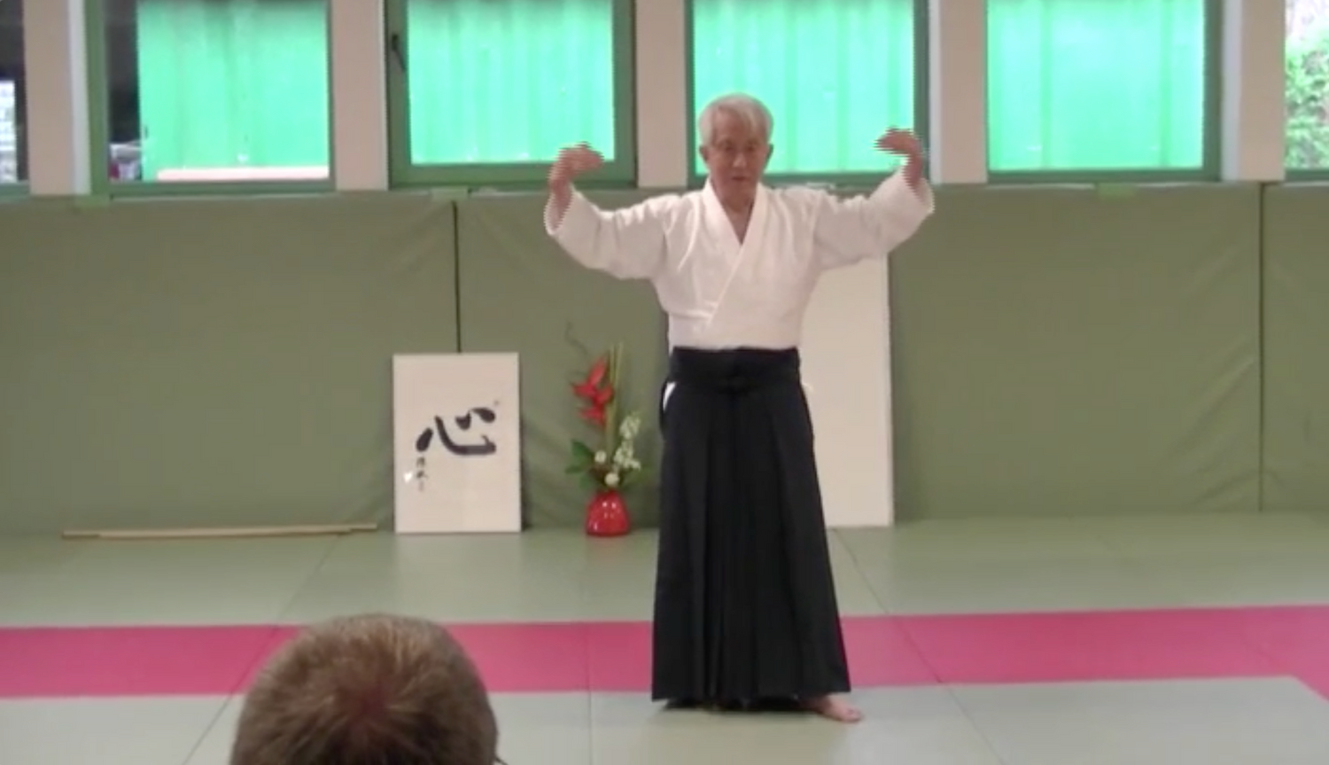 Koretoshi Maruyama Aikido World Tour Seminars 2011 2 DVD Set- Hamburg, Germany - Budovideos Inc