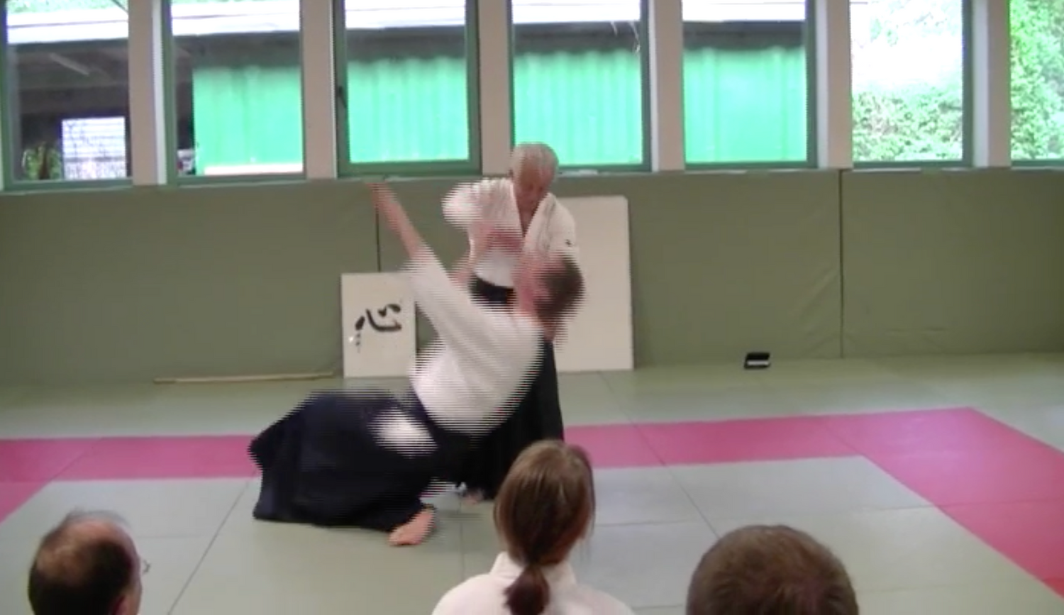 Koretoshi Maruyama Aikido World Tour Seminars 2011 2 DVD Set- Hamburg, Germany - Budovideos Inc