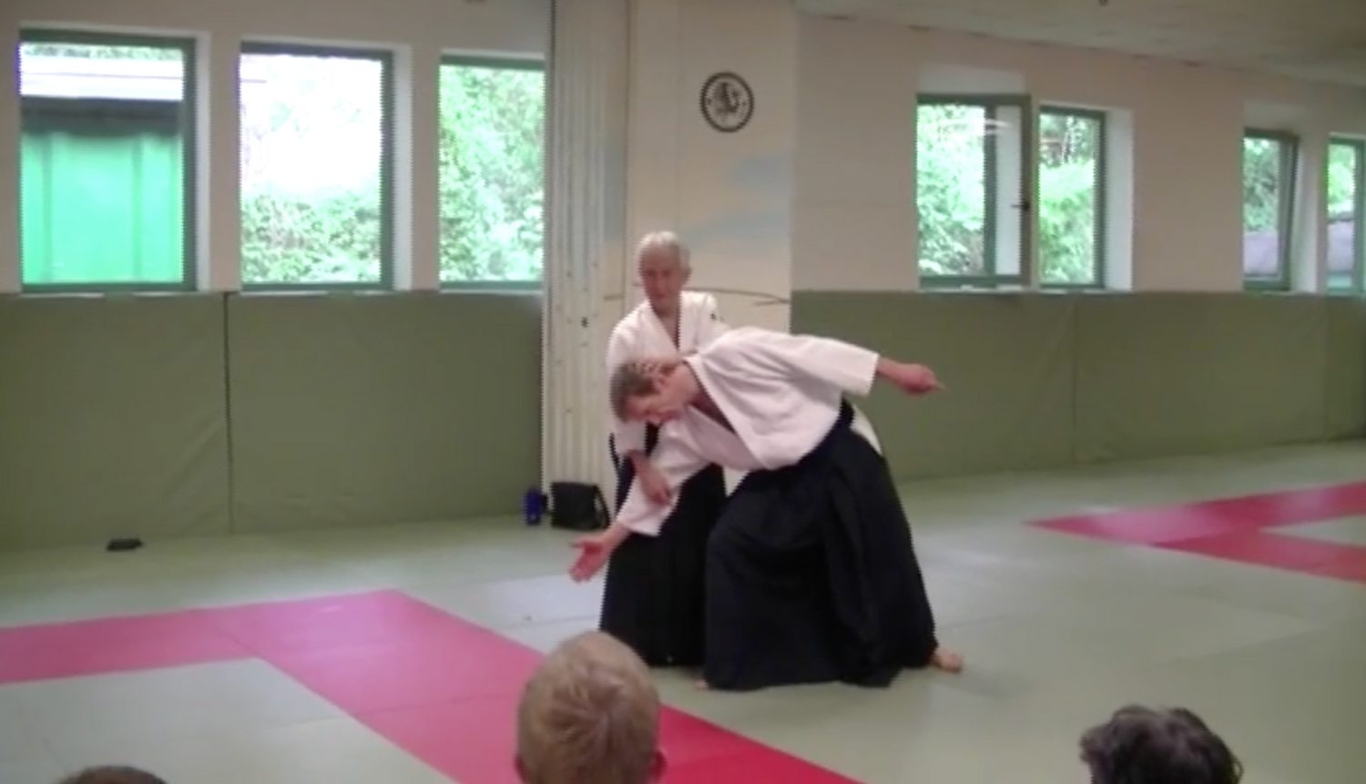 Koretoshi Maruyama Aikido World Tour Seminars 2011 2 DVD Set- Hamburg, Germany - Budovideos Inc