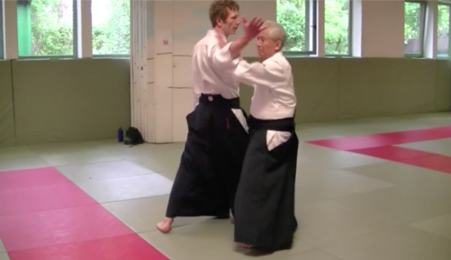 Koretoshi Maruyama Aikido World Tour Seminars 2011 2 DVD Set- Hamburg, Germany - Budovideos Inc