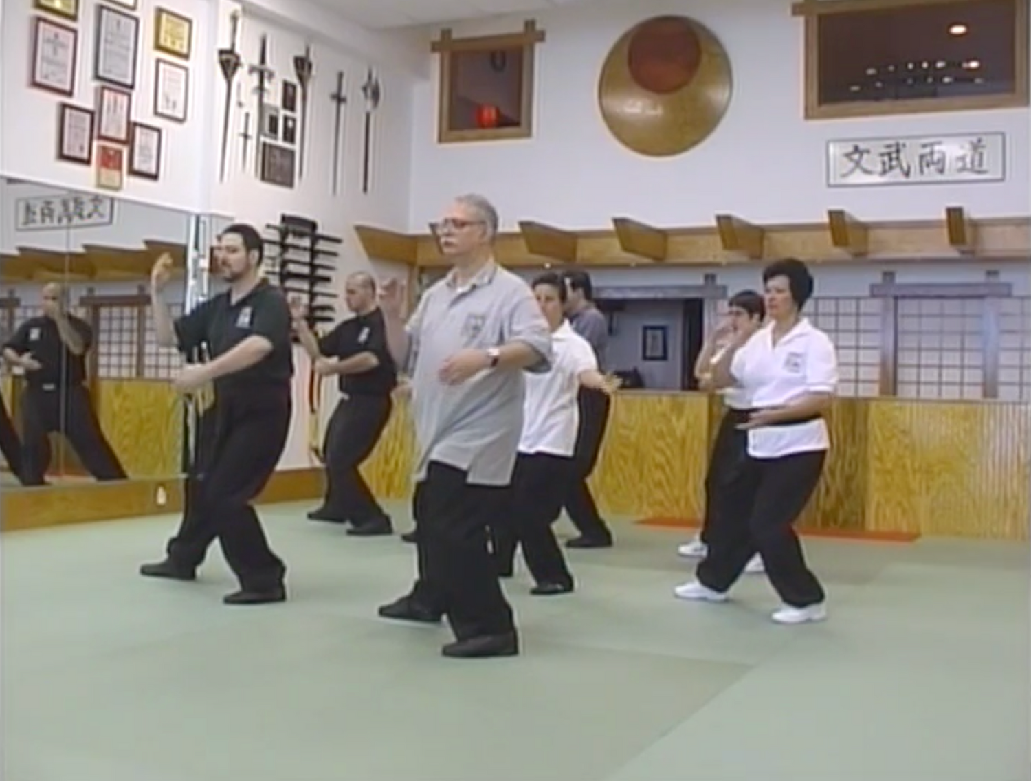 Push Hands DVD 1 by William Phillips (Preowned) - Budovideos Inc