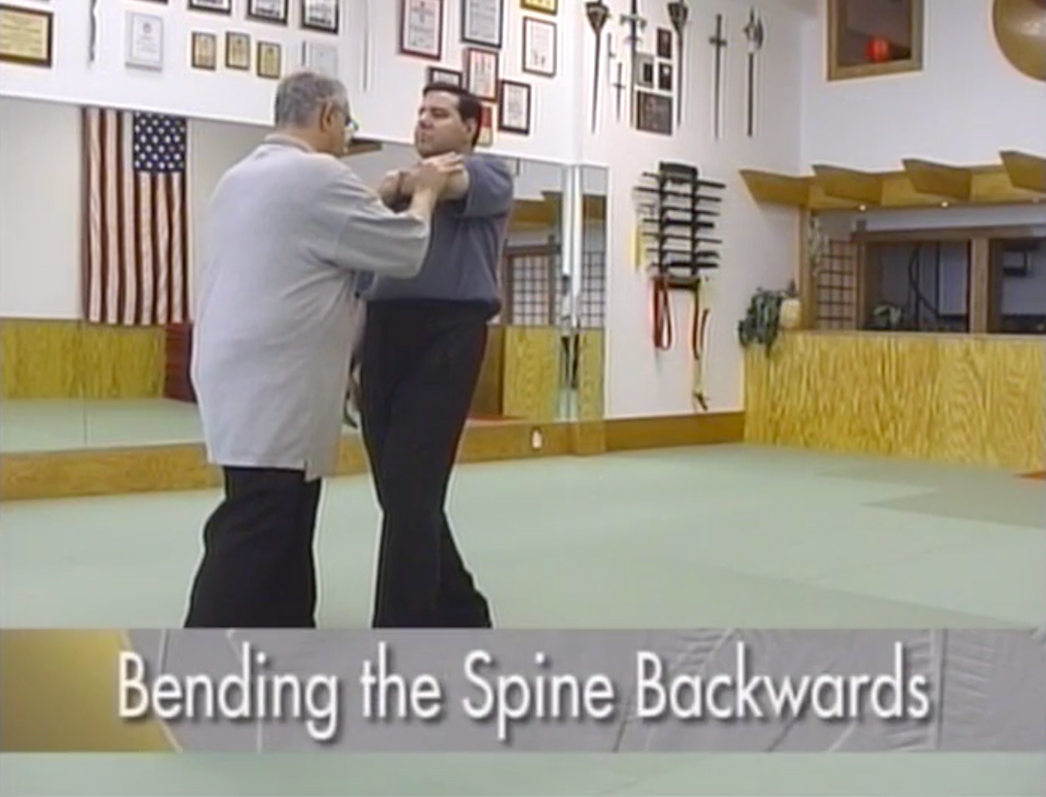 Push Hands DVD 1 by William Phillips (Preowned) - Budovideos Inc