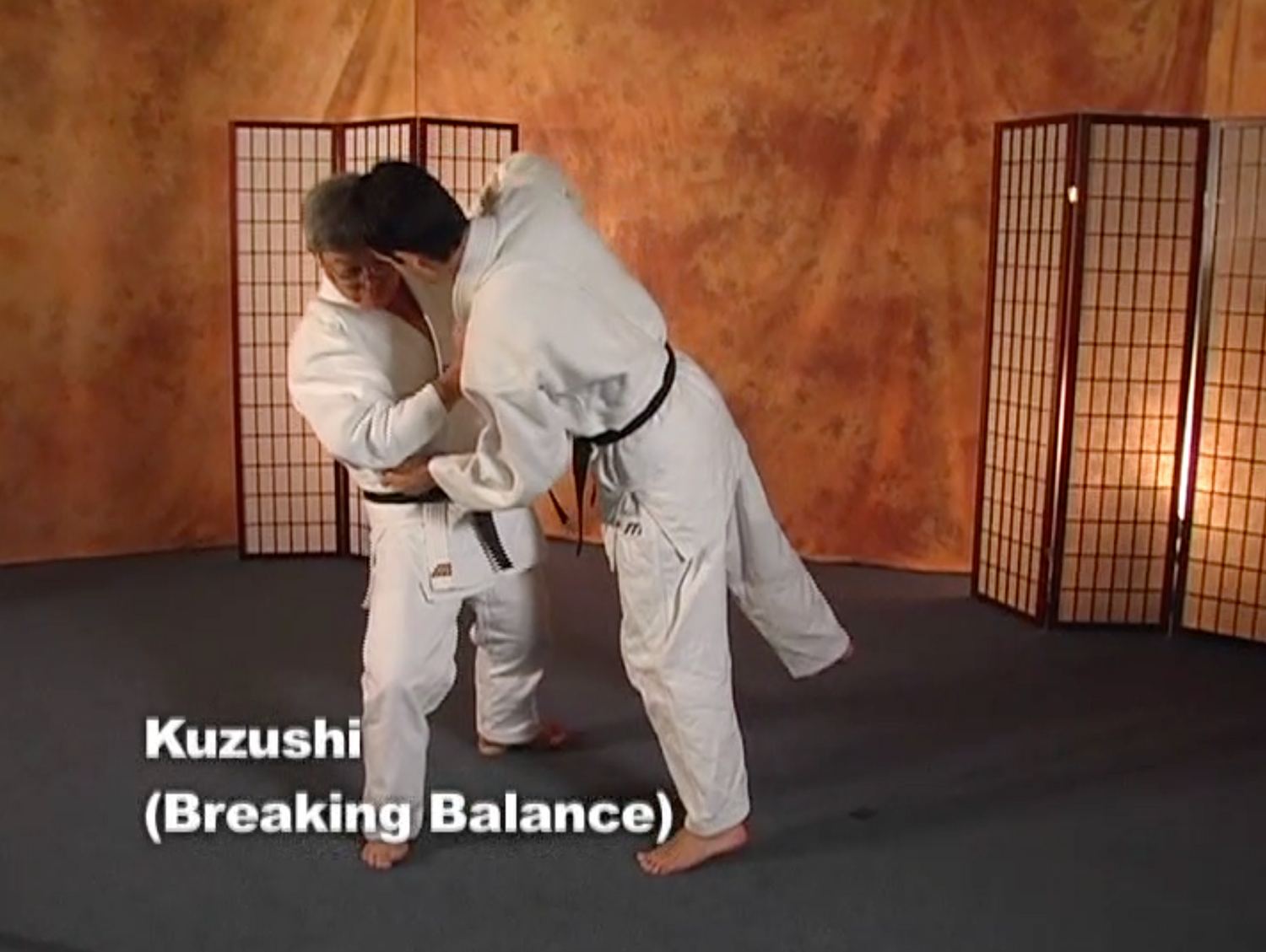 Soft Judo by Jin Iizumi 3 DVD Set (Preowned) - Budovideos Inc