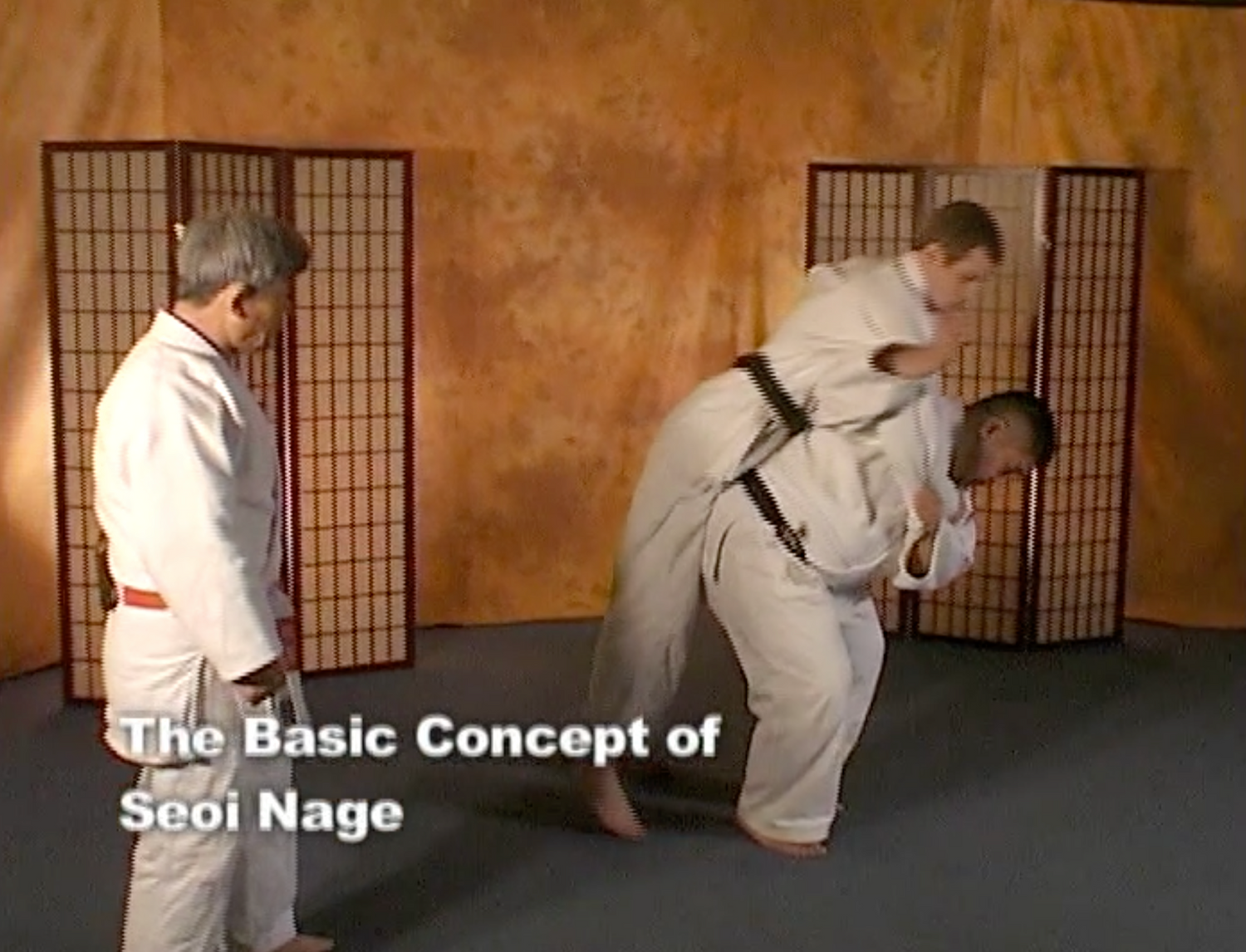 Soft Judo by Jin Iizumi 3 DVD Set (Preowned) - Budovideos Inc