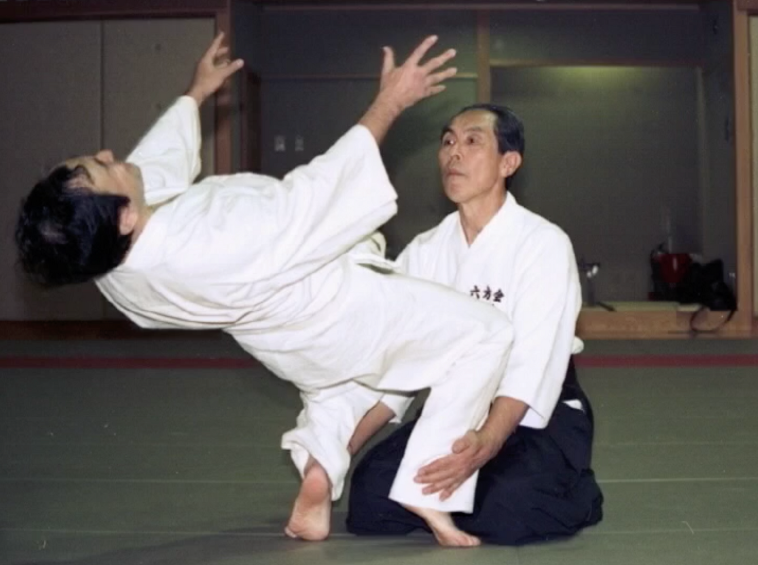 Daito Ryu Aikijujutsu Roppokai DVD by Seigo Okamoto (Preowned) - Budovideos