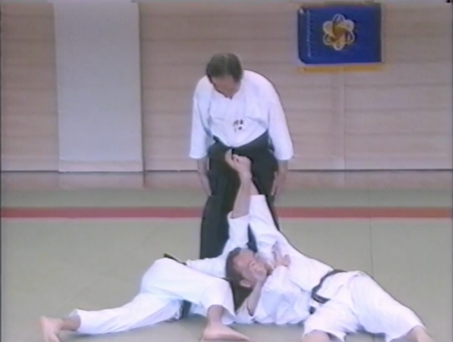 Daito Ryu Aikijujutsu Roppokai DVD by Seigo Okamoto (Preowned) - Budovideos