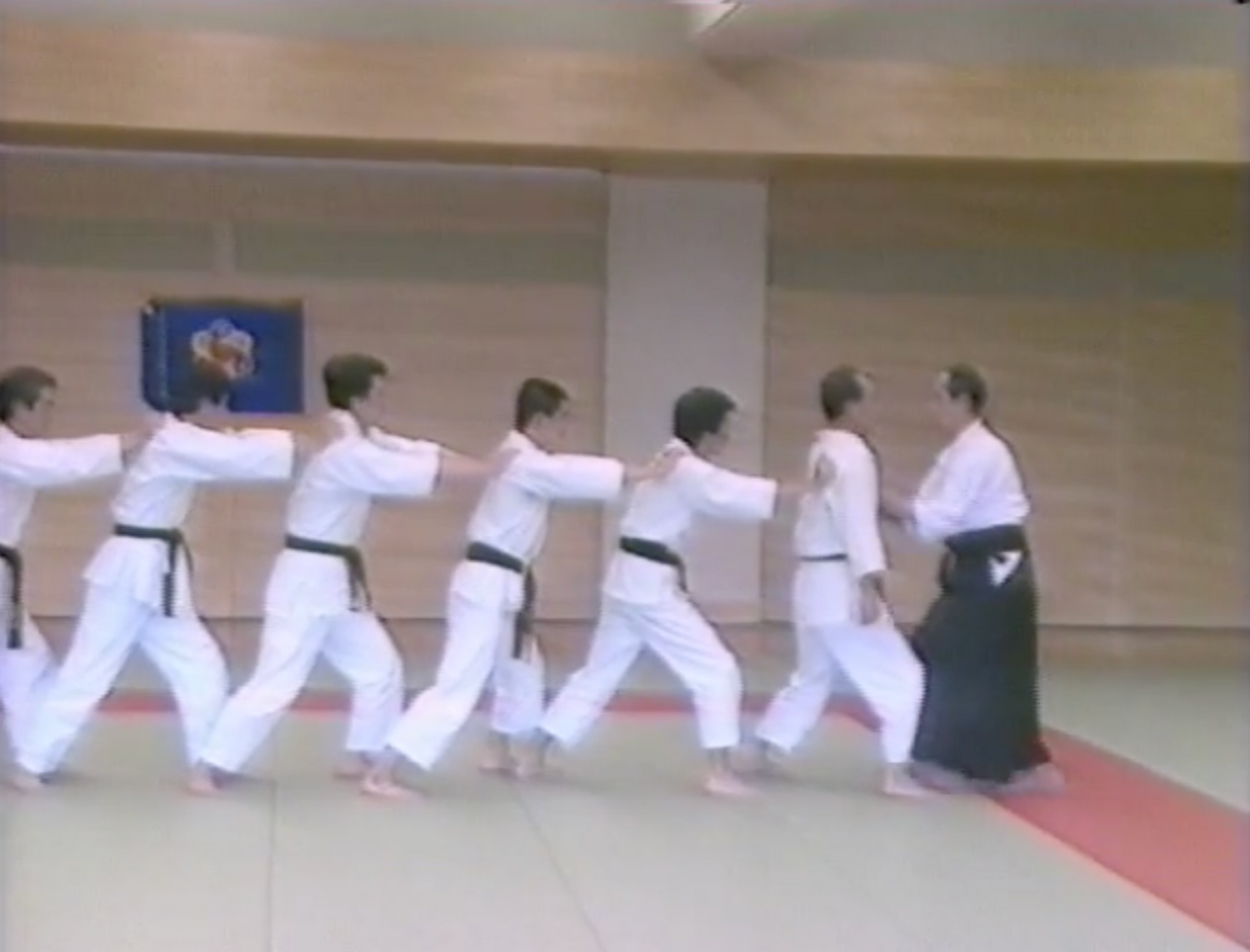 Daito Ryu Aikijujutsu Roppokai DVD by Seigo Okamoto (Preowned) - Budovideos