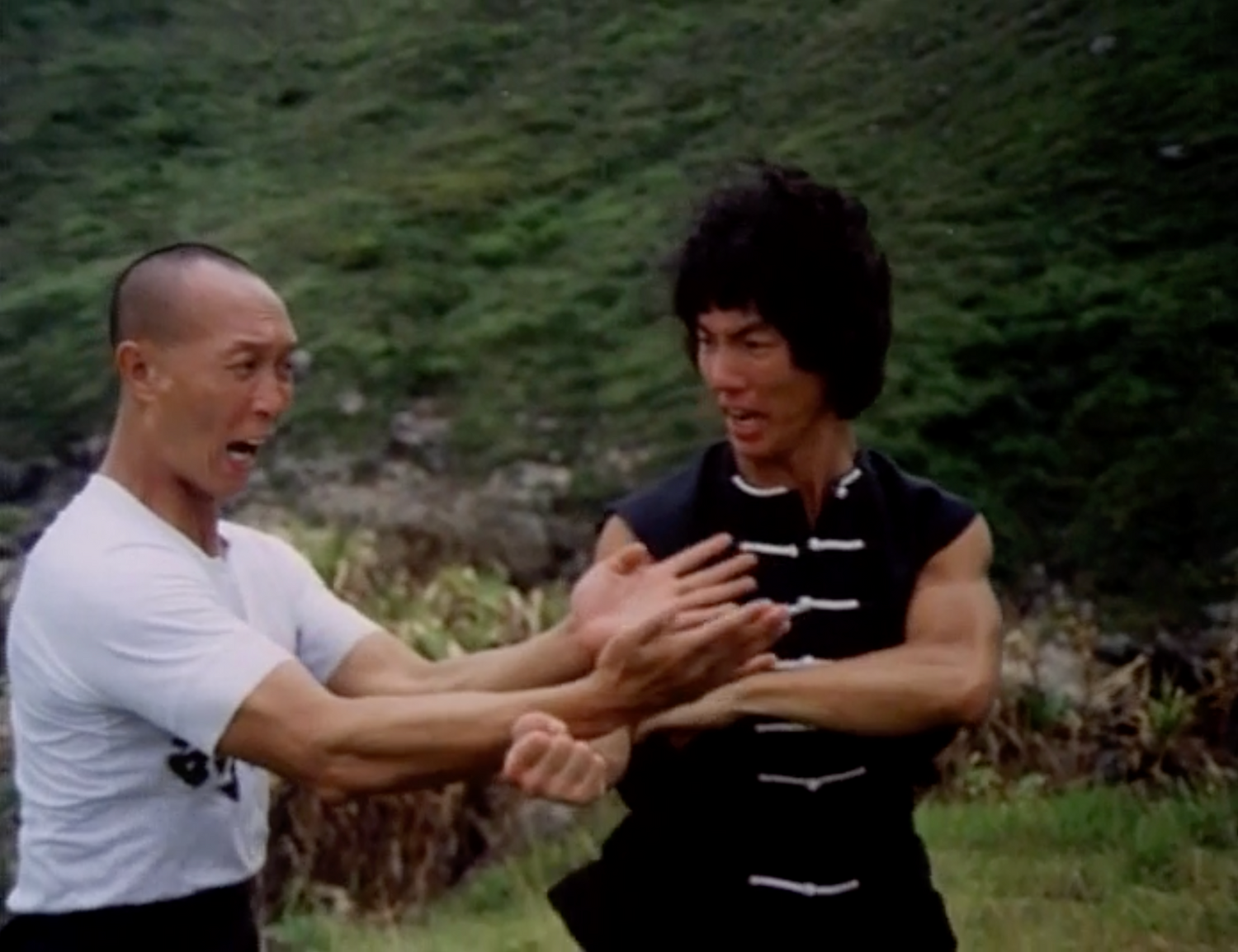 Wing Chun Science of In-Fighting with Wong Shun Leung (Preowned) - Budovideos