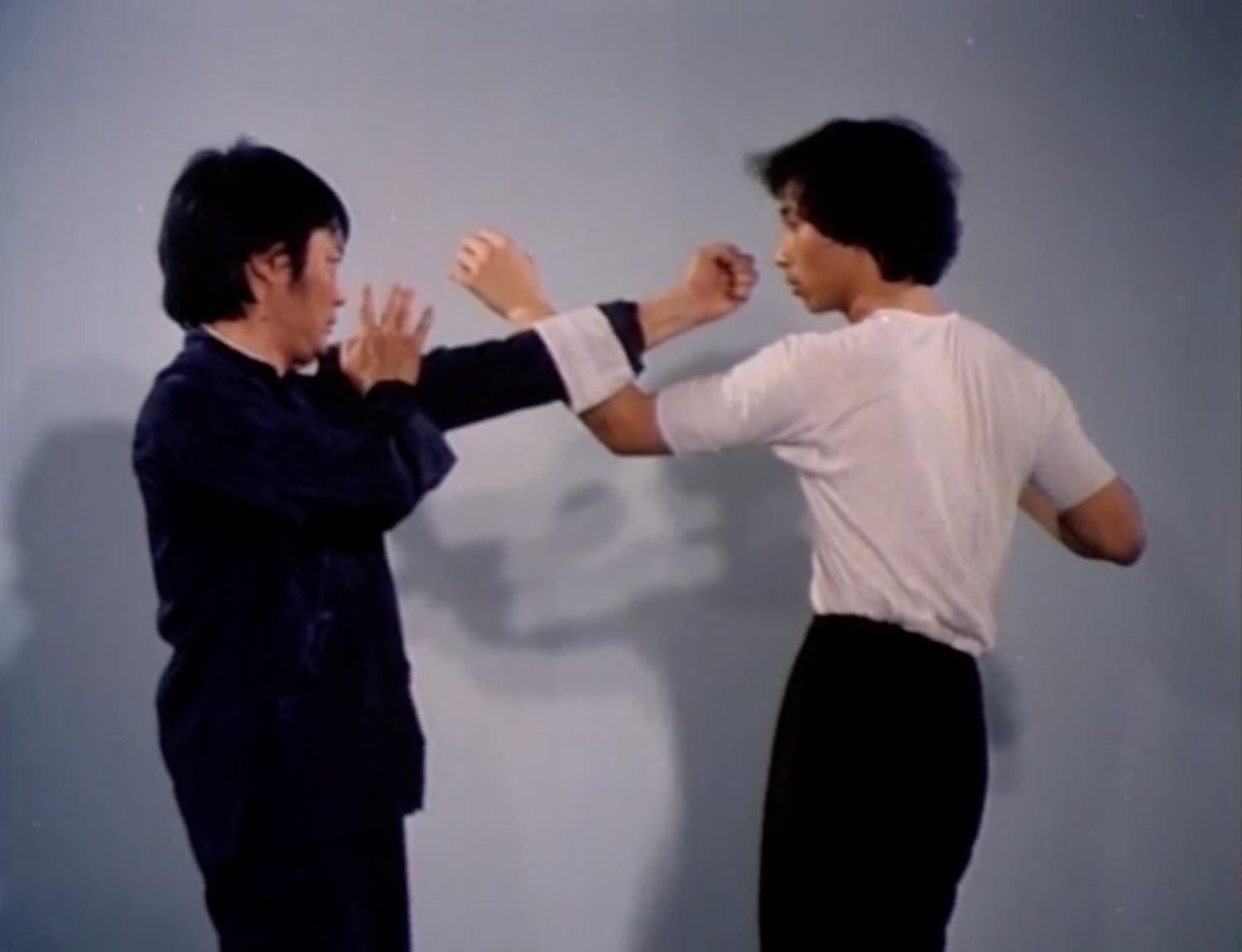 Wing Chun Science of In-Fighting with Wong Shun Leung (Preowned) - Budovideos