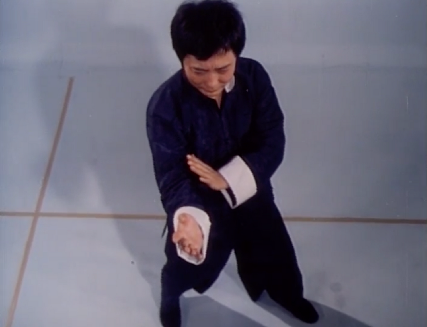 Wing Chun Science of In-Fighting with Wong Shun Leung (Preowned) - Budovideos