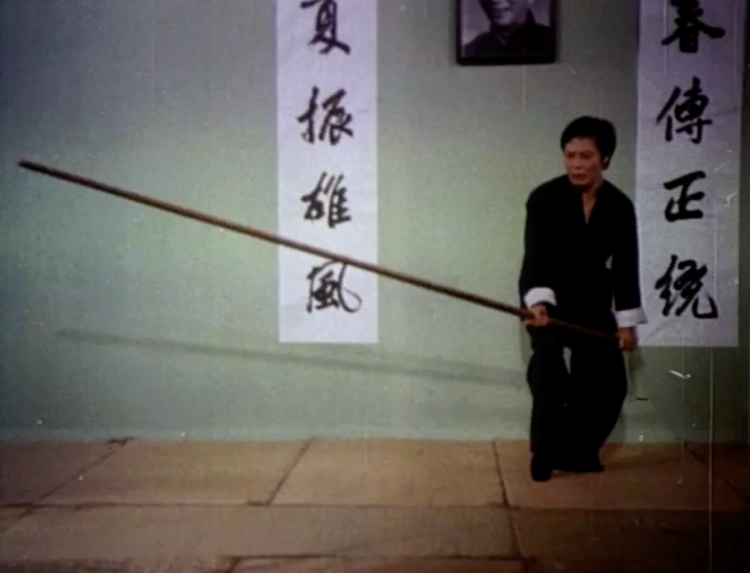 Wing Chun Science of In-Fighting with Wong Shun Leung (Preowned) - Budovideos