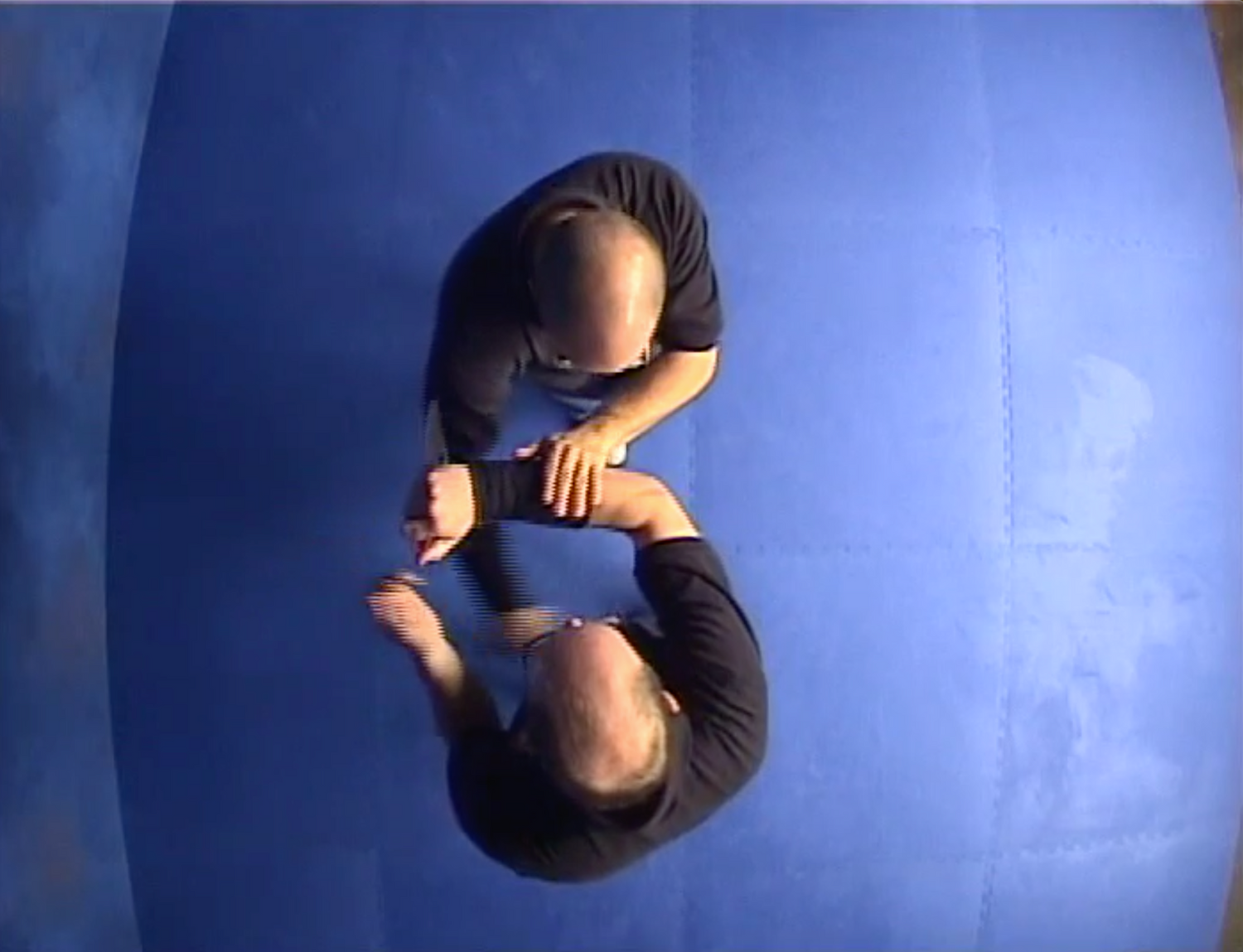 Mastering Fighting Folders 2 DVD Set by Michael Janich (Preowned) - Budovideos