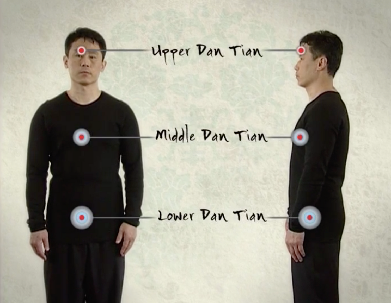 The Power of Tai Chi DVD by Shao Zhao-Ming (Preowned) - Budovideos